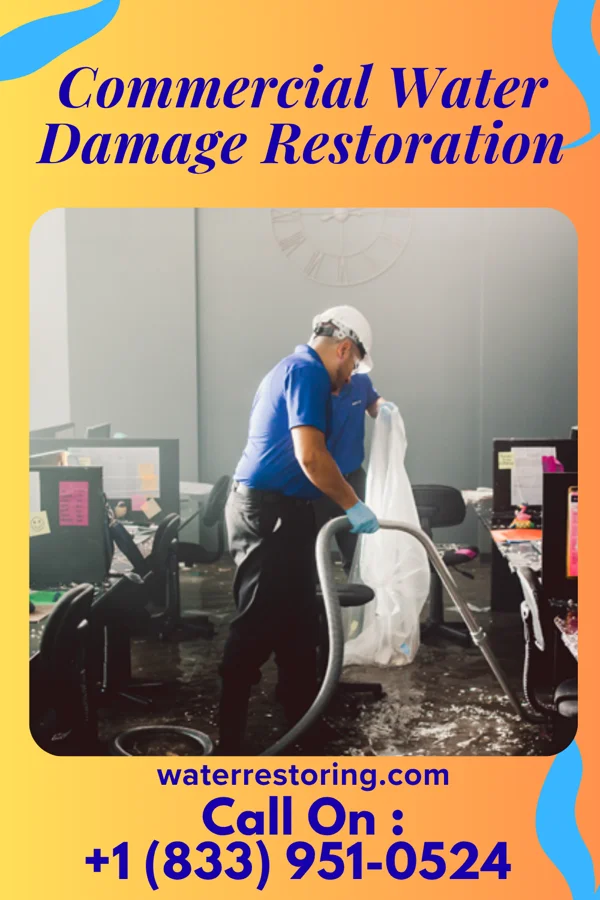 Commercial Water Damage Restoration in Winthrop Harbor, IL