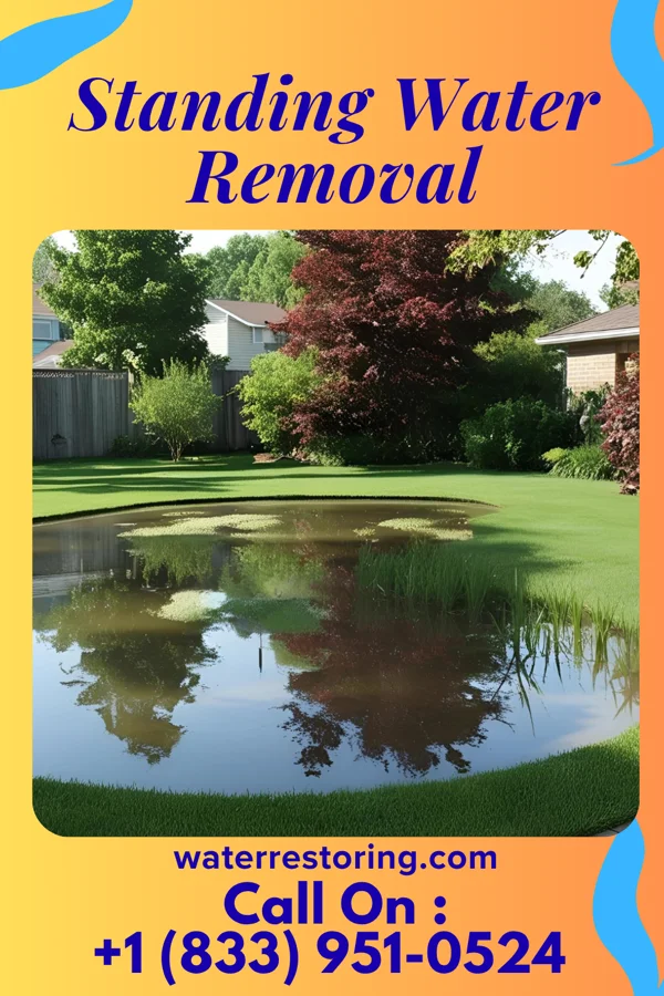 Standing Water Removal in Winthrop Harbor, IL